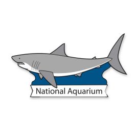 National Aquarium Shark Enamel Pin