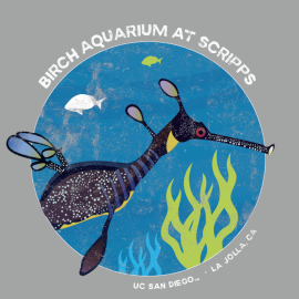 Birch Aquarium Weedy Seadragon Eco Ladies V-Neck Tee
