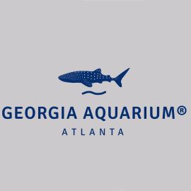 Youth Whale Shark Pullover Fleece Hoodie - Georgia Aquarium