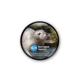 New England Aquarium Harbor Seal Glass Dome Magnet