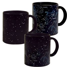 Starry Starry Night Constellation Mug