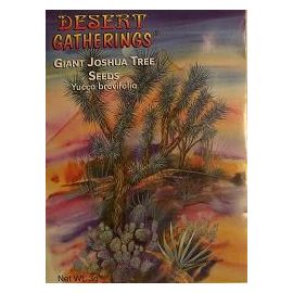 Joshua Tree Cactus Seeds