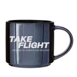 MSI Take Flight Mug
