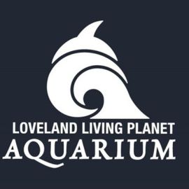 Living Planet Aquarium Baseball Cap