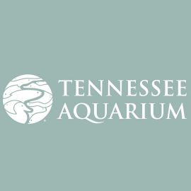 Tennessee Aquarium Adult Long Sleeve Green Logo Tee