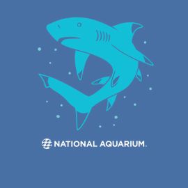 National Aquarium Adult Recycled Bottle Shark Tee