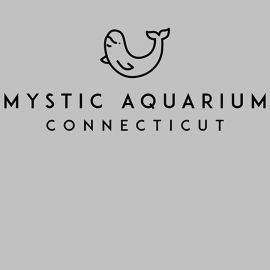 Adult Hooded Fleece Beluga Sweatshirt - Mystic Aquarium